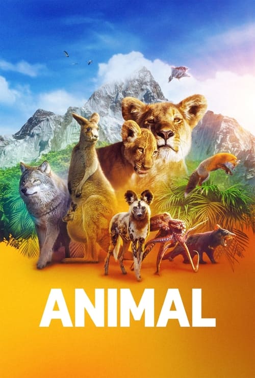 Animal : 2.Sezon 3.Bölüm