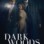 Dark Woods : 1.Sezon 6.Bölüm izle