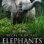 Secrets of the Elephants : 1.Sezon 1.Bölüm izle