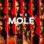 The Mole : 2.Sezon 10.Bölüm izle