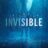 Invisible : 1.Sezon 4.Bölüm izle