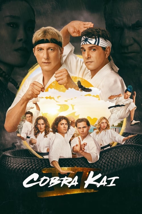 Cobra Kai : 6.Sezon 13.Bölüm